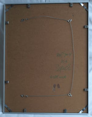 Niet of onleesbaar gesigneerd - Airbrush / tekening , “Roos in Fles” – gesigneerd & ingelijst - 1994 kopen? Bied vanaf 1!