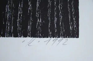 Franz Eggenschwiler - Donnerpfeile II, 1992 - Originele houtsnede, handgesigneerd kopen? Bied vanaf 80!