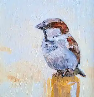 Tanja Koelemij - mus 1 verkocht voor € 60!