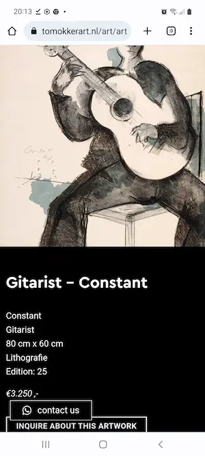 Constant - Gitarist kopen? Bied vanaf 345!
