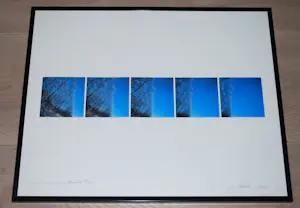 Ger Dekkers - Flevoland, Wood of silver poplars - incl.boekwerk kopen? Bied vanaf 65!