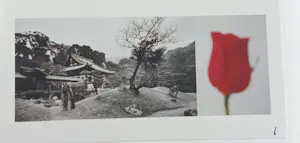 Jean Ruiter - The Kyoto Zen-Garden Project 1999 met 9 originele foto's kopen? Bied vanaf 75!