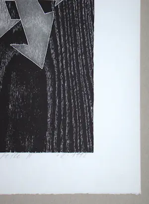 Franz Eggenschwiler - Donnerpfeile II, 1992 - Originele houtsnede, handgesigneerd kopen? Bied vanaf 80!