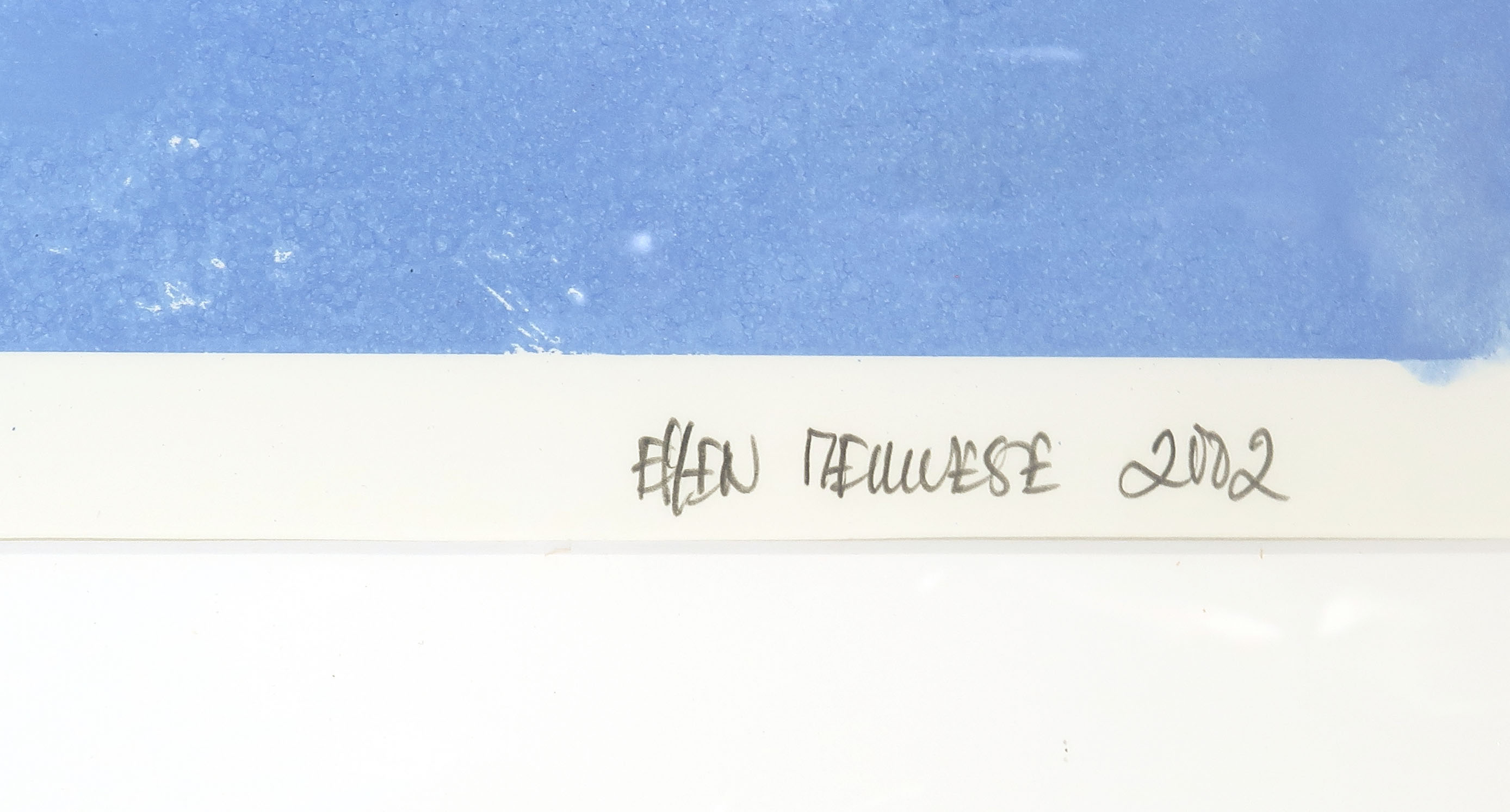 Ellen Meuwese - Gemengde techniek op papier, o.a. gouache en krijt, Meeuwen - Ingelijst kopen? Bied vanaf 80!