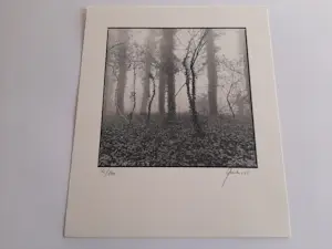 Ralph Janowski - zonder titel kopen? Bied vanaf 20!