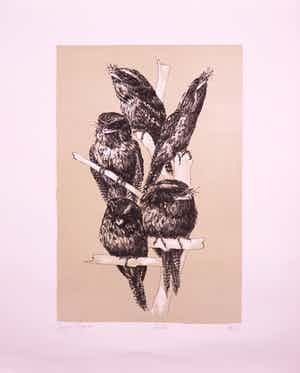 Peter Vos - Litho, Podargus Strigoides verkocht voor € 85!