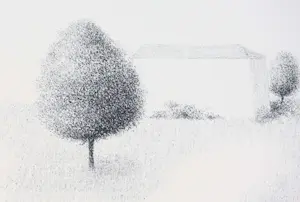 Metten Koornstra - Bomen kopen? Bied vanaf 40!