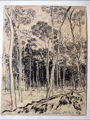 James William Frater - Heuvelrug in Baarn - Penseel/inkttekening verkocht voor € 40!
