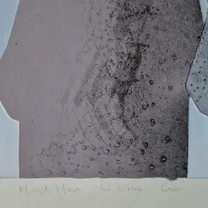 Anco van der Haar - "grafisch gezelschap De Luis" grote kleuren litho "Creo" zeer klein oplage (15) kopen? Bied vanaf 55!