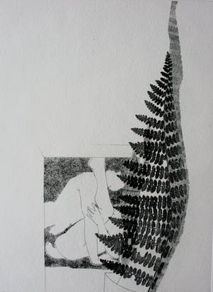 Rob Cox - Ets - grafiek erotiek1978/1979 kopen? Bied vanaf 35!