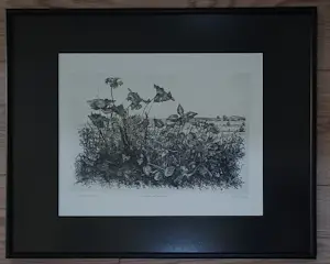 Willem Minderman - Wilde planten met landschap, ets kopen? Bied vanaf 49!