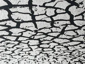 Menashe Kadishman - Cracked earth kopen? Bied vanaf 100!