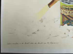 Th.W.L. de Pree - “beter 1 zwaluw in de lucht dan de lucht van 10 kanaries” - gesigneerde litho kopen? Bied vanaf 49!