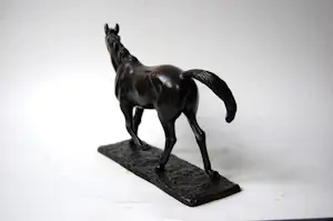 Irénée Rochard - Paard in draf kopen? Bied vanaf 1750!