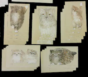 Mohaier Dariush - Lot van ca. 130 litho's!! voor de kattenliefhebbers! kopen? Bied vanaf 1!