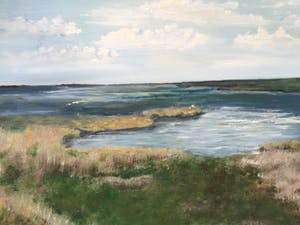 Niet of onleesbaar gesigneerd - 2x landschap Terschelling | 2x olieverf schilderijen (ingelijst) kopen? Bied vanaf 1!