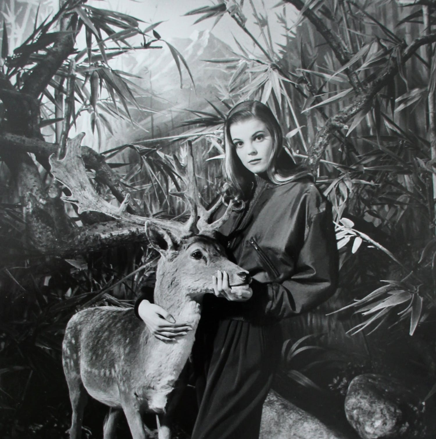 Rineke Dijkstra (1959)