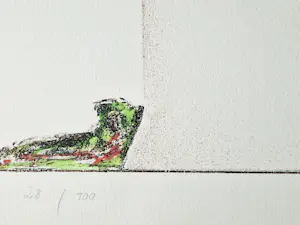 Jörg Remé - Originele 1978 kleuren Lithografie "dame en havik" - beperkte oplage (100) kopen? Bied vanaf 48!