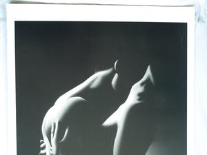 Niet of onleesbaar gesigneerd - Zwart-wit Foto , ‘Contact’ – gesigneerd - 61 x 46 cm. kopen? Bied vanaf 1!