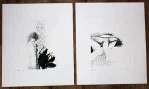 Rob Cox - 2 etsen - grafiek erotiek 1978/1979 verkocht voor € 70!
