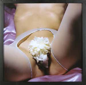 Cornelie Tollens - C-Print, L'amour est classique - Ingelijst verkocht voor € 120!
