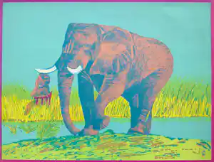 Antonio Segui - Olifant, litho kopen? Bied vanaf 40!