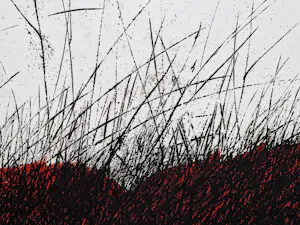Andrzej Pietsch - Große handkolorierte Radierung "The Black - Red" sehr limiet. auflage (50) kopen? Bied vanaf 92!