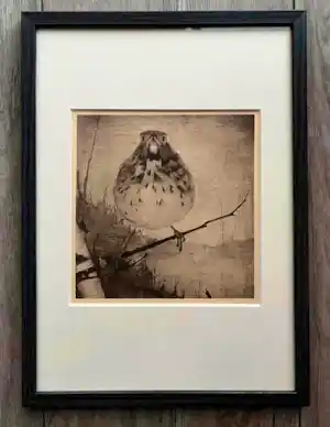 Jan Mankes - Originele Heliogravure Lijster op Tak 1923 verkocht voor € 180!