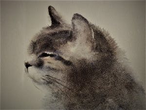 Christel Selmouni - Fraai impressionistisch Pastel(krijt) van een liggende poes - gesigneerd kopen? Bied vanaf 1!