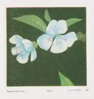 Joop Vegter - Mezzotint, Kersebloesem verkocht voor € 50!