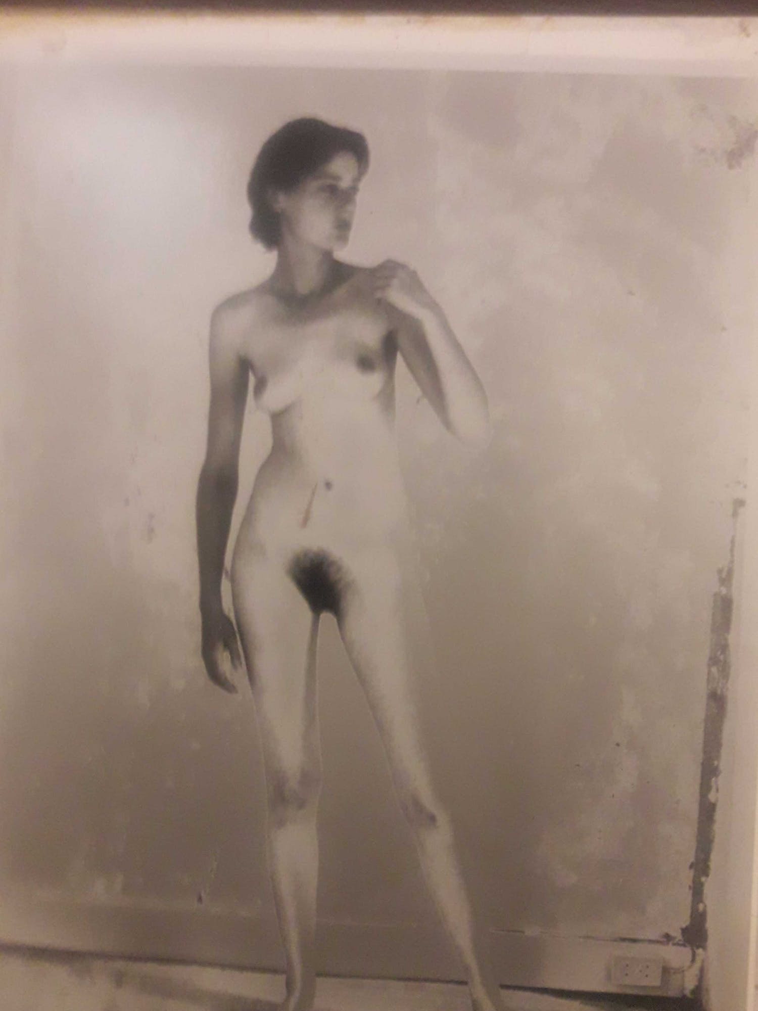Risk Hazekamp (1972)