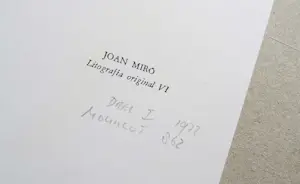 Joan Miro - Litografía original VI (band I) 1972 - Referentie Mourlot 862 kopen? Bied vanaf 139!