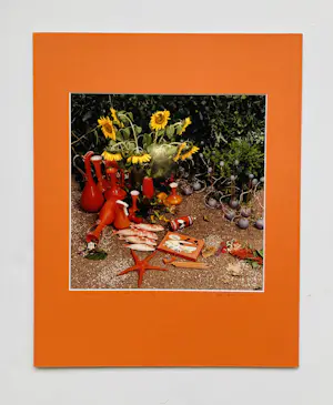 Alex Vermeulen - Wild romance about still life kopen? Bied vanaf 45!