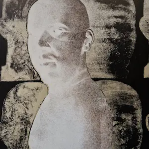 Anco van der Haar - "grafisch gezelschap De Luis" kleuren litho / eigen druk zeer kleine oplage (15) kopen? Bied vanaf 45!