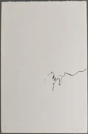 Armando - gesigneerde litho kopen? Bied vanaf 149!