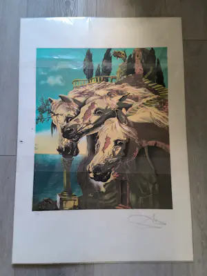 Salvador Dali - Chevaux surréalistes. Lithographie... kopen? Bied vanaf 375!