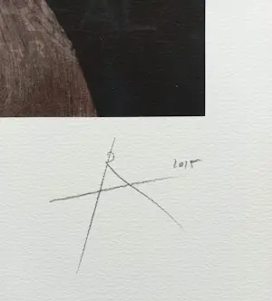Rob Scholte - Glossy XXII, piëzografie (groot, kleine oplage) kopen? Bied vanaf 250!