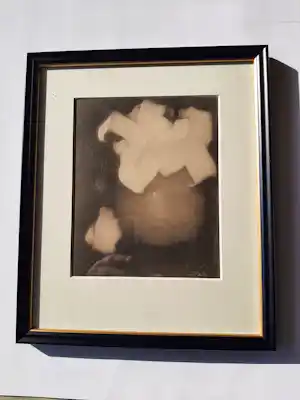 Jan Mankes - Originele Heliogravure , Aronskelken 1923 verkocht voor € 130!