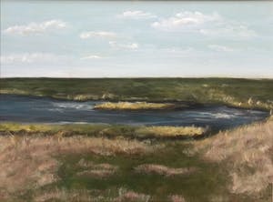 Niet of onleesbaar gesigneerd - 2x landschap Terschelling | 2x olieverf schilderijen (ingelijst) kopen? Bied vanaf 1!