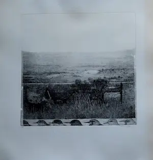 Charles Donker - Utrechts? landschap met diverse vogels kopen? Bied vanaf 125!