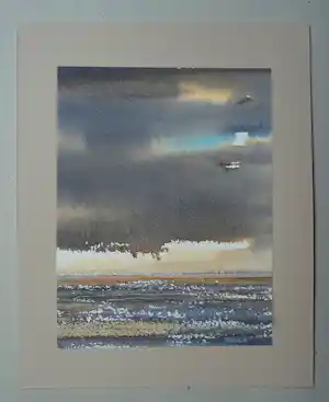 Franklin Meijer - Waddenzee kopen? Bied vanaf 20!