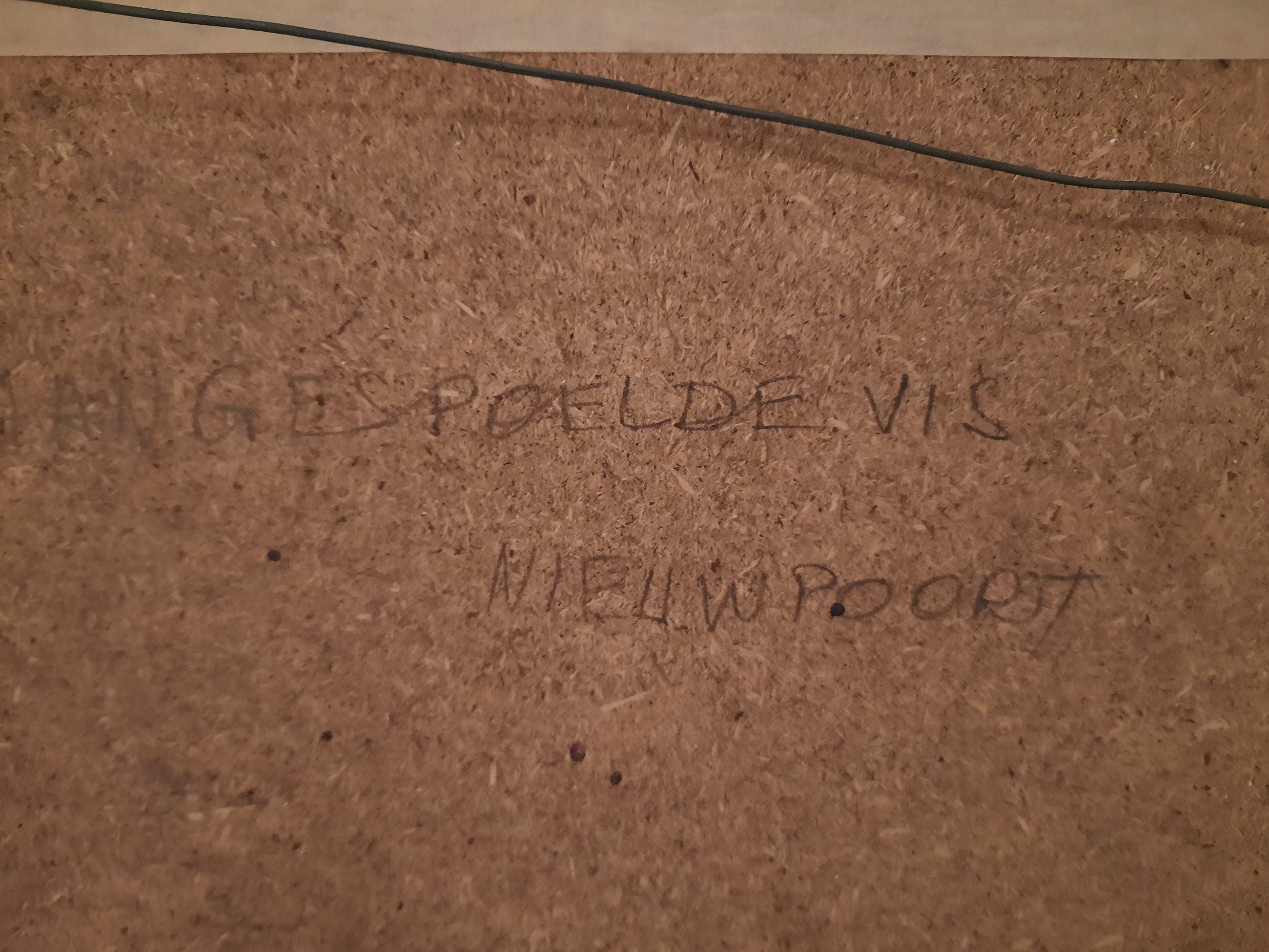 Antoon Luyckx - Aangespoelde vis Nieuwpoort Verkocht | Kunstveiling.be