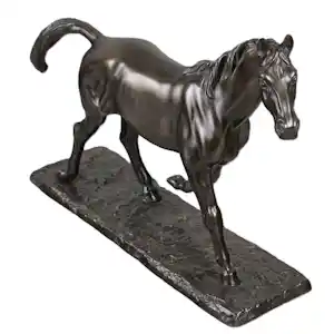 Irénée Rochard - Paard in draf kopen? Bied vanaf 1750!