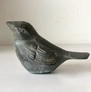 Brons (Onbekend) - Vogel kopen? Bied vanaf 25!