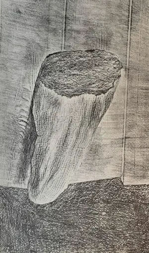Max Ernst - Map met 34 werken: Histoire Naturelle - 1972 kopen? Bied vanaf 499!