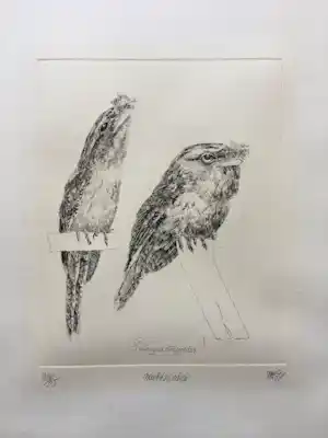 Peter Vos - ‘Nachtzwaluw ’ - ets - oplage 35 verkocht voor € 140!