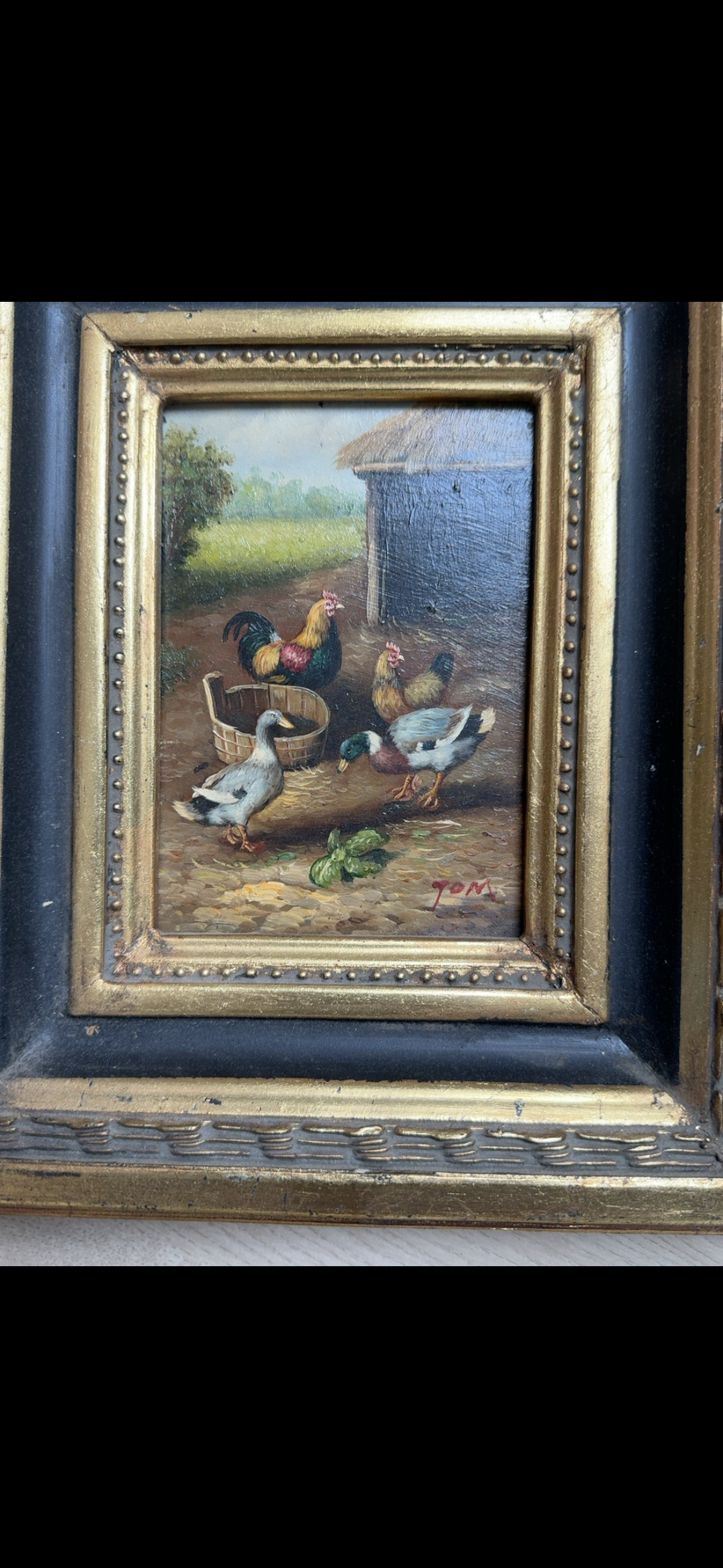 Jan Bedijs Tom - Kippen en eenden kopen? Bied vanaf 1750!
