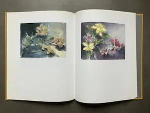 Fon Klement - Aquarellen - hardcover boek kopen? Bied vanaf 20!