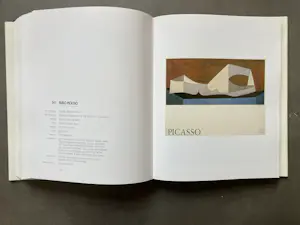 Pablo Picasso - Catalogue Raisonné - Picasso in his posters - 4 delen kopen? Bied vanaf 250!