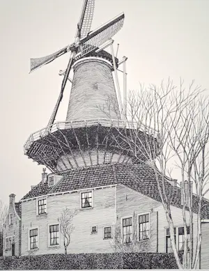 Sees Vlag - Delft Molen De Roos kopen? Bied vanaf 85!